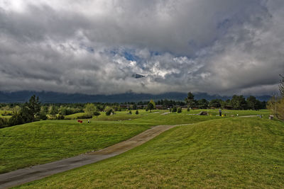 Scenic view of field against sky