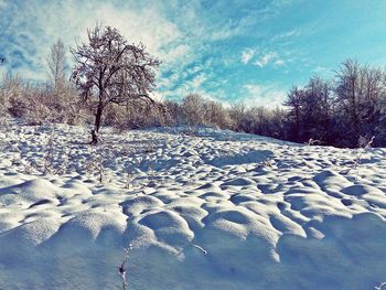 Bare trees on snow covered landscape against sky