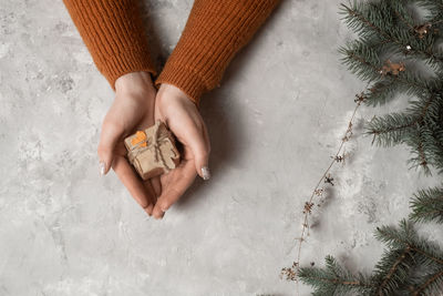 Low section of woman holding christmas tree