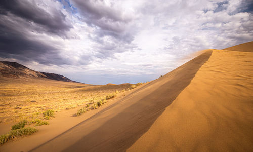 Scenic view of desert against sky