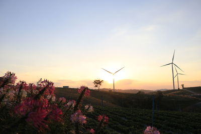 Scenic view of field against sky during sunset