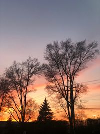 Silhouette trees against sky during sunset