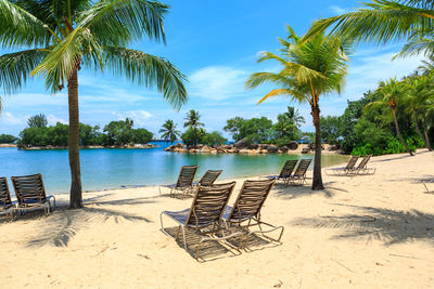 Scenic view of palm trees on beach against sky