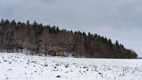 Snow covered field against sky