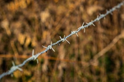 Close-up of barbed wire fence