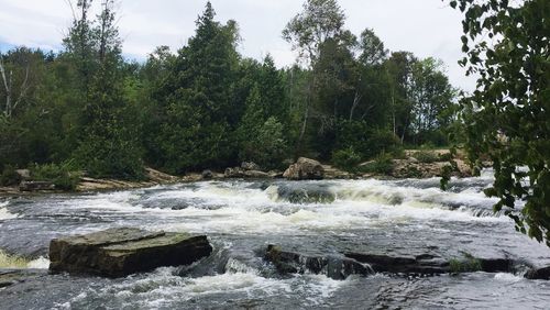 Scenic view of waterfall in forest against sky