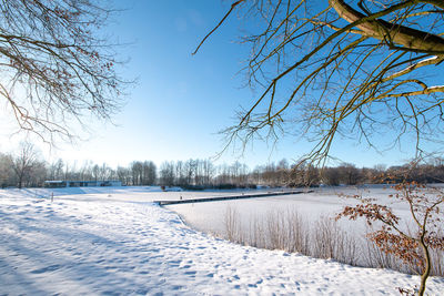 Snow covered plants by lake against sky