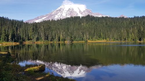 Mount rainier reflecting in reflection lake - scenic view of lake by trees against sky