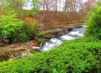 Scenic view of waterfall in forest