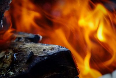 Close-up of firewood