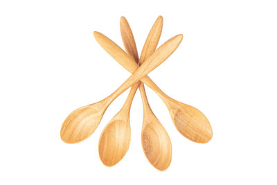 Close-up of leaves against white background