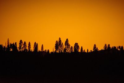 Silhouette trees on landscape against sky during sunset