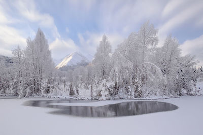 snow