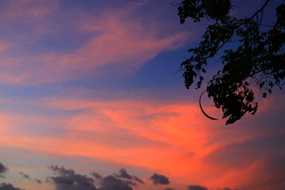 Low angle view of silhouette trees against dramatic sky