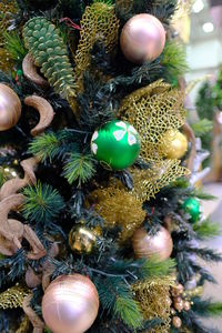 Close-up of christmas tree