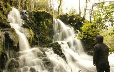 Scenic view of waterfall