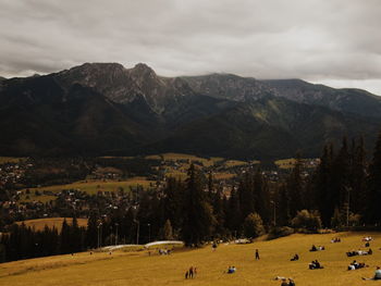 Landscape with mountain range in background