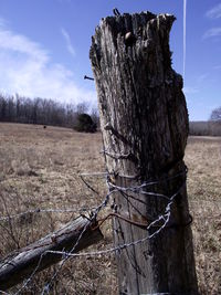 Tree stump on field