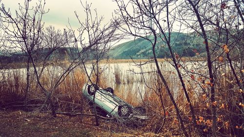 Bare trees by lake against sky
