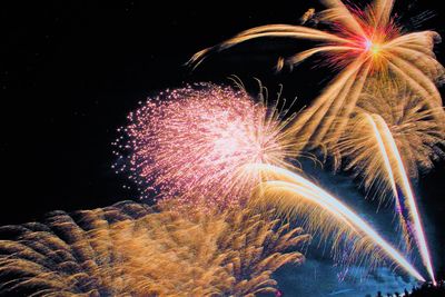 Low angle view of firework display at night