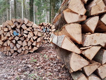 Stack of firewood