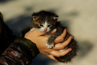 Close-up of man holding baby hand