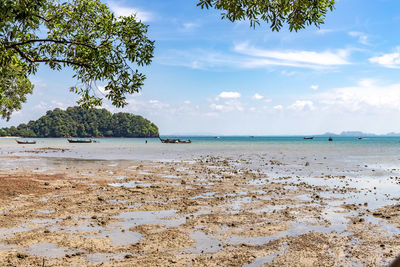 Scenic view of beach against sky