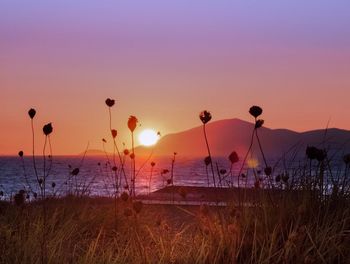 Scenic view of silhouette field against sky during sunset