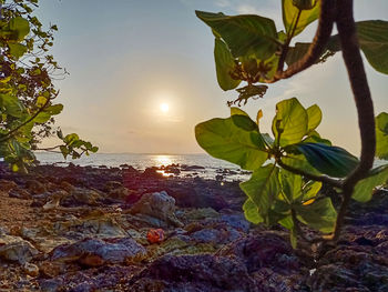 Scenic view of sea against sky during sunset