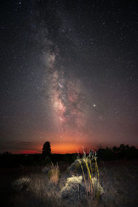 Scenic view of star field against sky at night