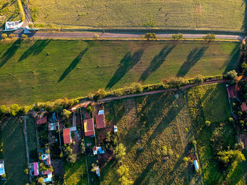 High angle view of agricultural field