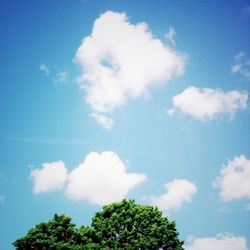 Low angle view of trees against blue sky