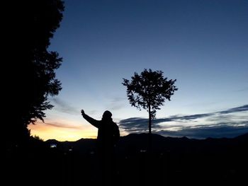 Silhouette of trees at sunset