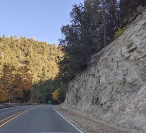 Road amidst trees and plants