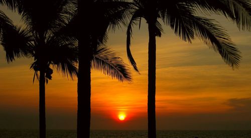 Silhouette palm tree against sea during sunset