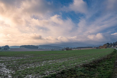 Scenic view of field against sky