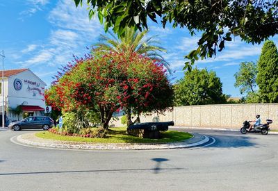 Trees by road in city against sky