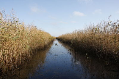 Scenic view of water against sky