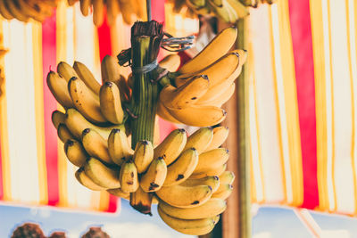 Close-up of yellow bananas