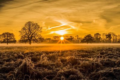 Scenic view of field against sky during sunset