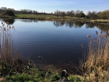 Scenic view of lake against sky