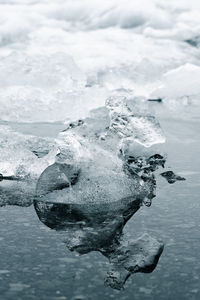 ice