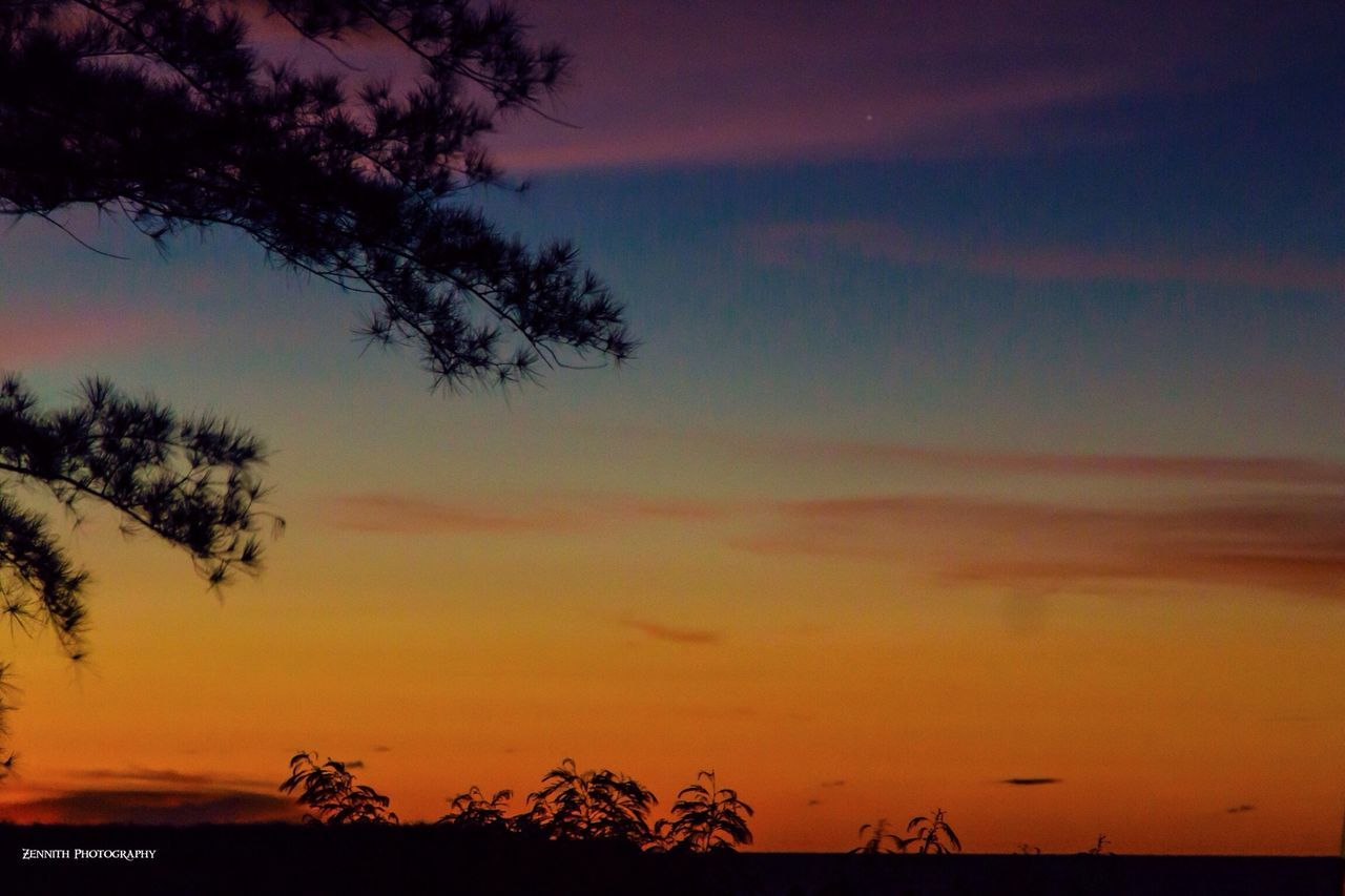 sunset, silhouette, scenics, beauty in nature, tranquility, sky, orange color, tranquil scene, tree, nature, idyllic, dramatic sky, cloud - sky, low angle view, dusk, growth, outdoors, landscape, no people, majestic