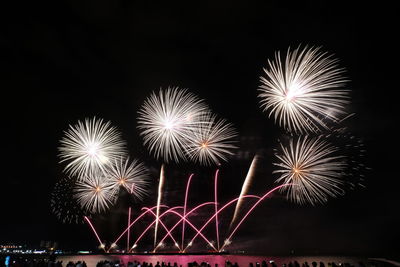 Low angle view of firework display at night