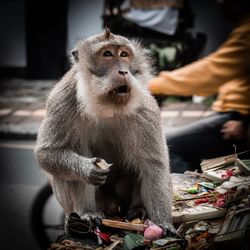 Close-up of hand holding outdoors