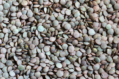 Green lentils, detail texture background, closeup of lentils background