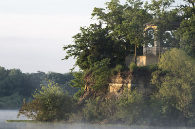 Trees on landscape