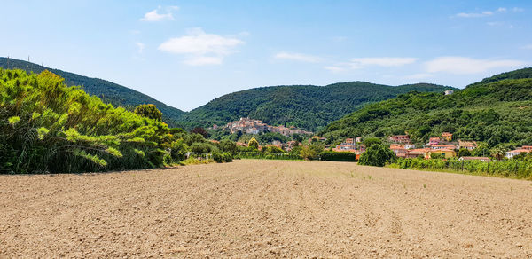 Scenic view of agricultural landscape against sky