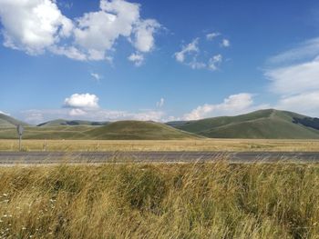 Scenic view of field against sky