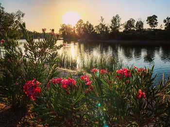 Scenic view of lake against sky during sunset